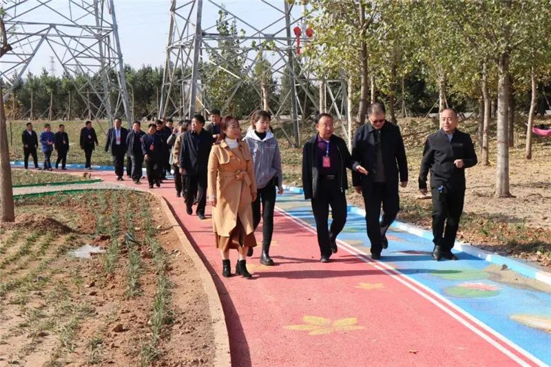 泛亚电竞官方入口_武安市人大常委会组织四级人大代表观摩全市城乡面貌变化