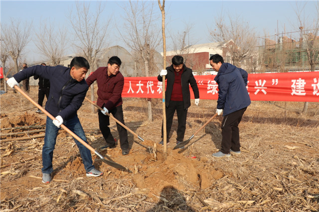 复兴区人大代表、政协委员开展冬季义务植树活动-kaiyun官方注册(图1)