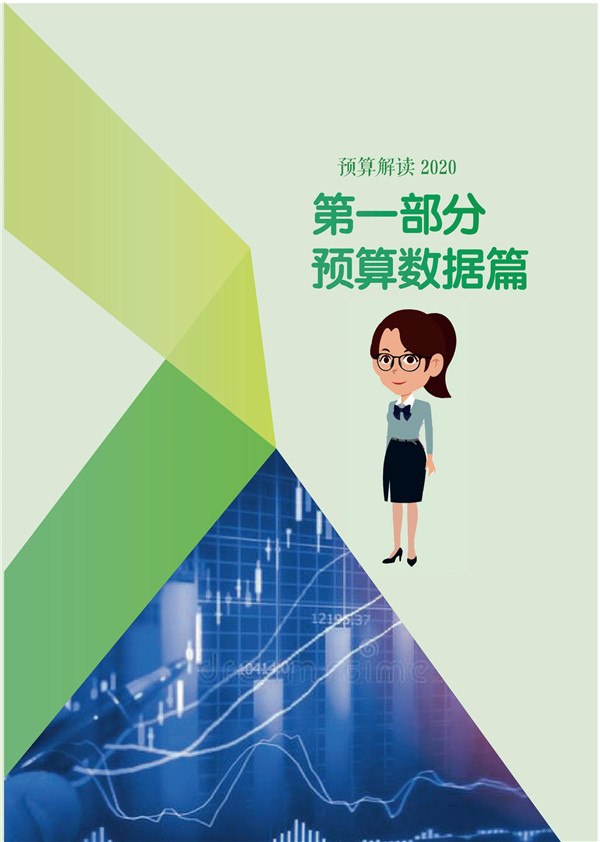印刷版邯鄲市財(cái)政預(yù)算整套書new2020(2)_04.jpg