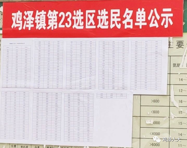 【AG体育App下载】鸡泽县人大常委会组织开展张榜公布选民名单情况督导检查(图2)